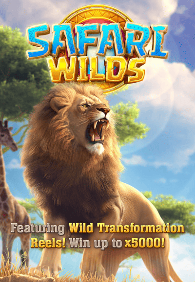 smm-pg-soft cover image png