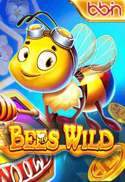 wt-bbin-slot cover image png