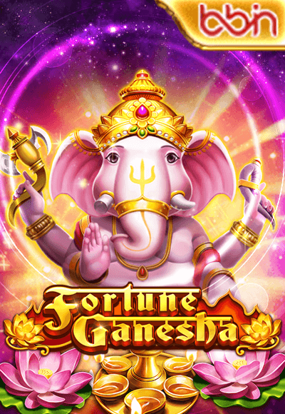 wt-bbin-slot cover image png