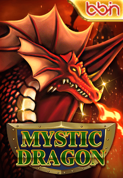 wt-bbin-slot cover image png