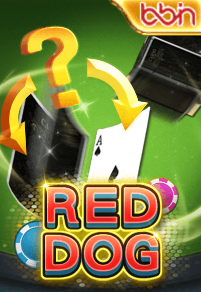 wt-bbin-slot cover image png