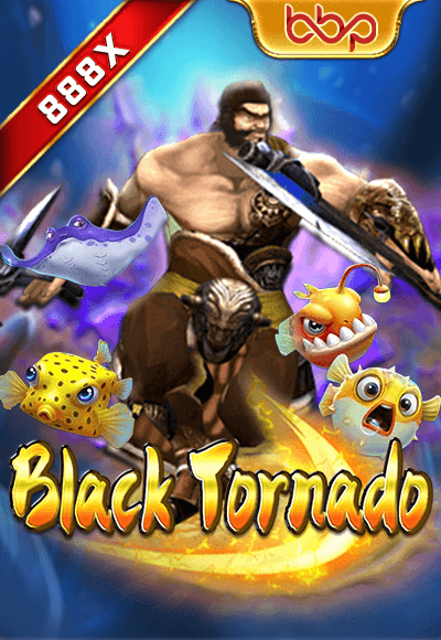 wt-bbin-slot cover image png