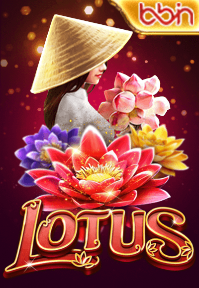 wt-bbin-slot cover image png