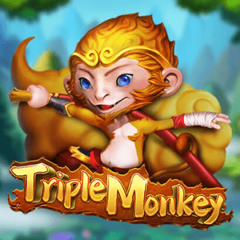 wt-dragoon-soft cover image png