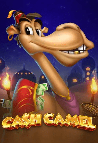 wt-isoftbet cover image png