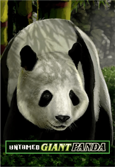 wt-mg-slot cover image png