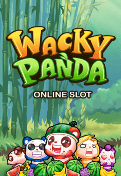 wt-mg-slot cover image png