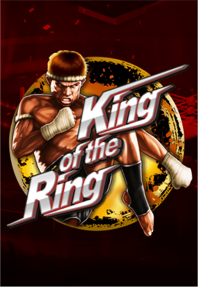 wt-mg-slot cover image png