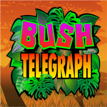 wt-mgp-slot cover image png