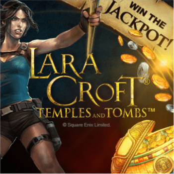 wt-mgp-slot cover image png