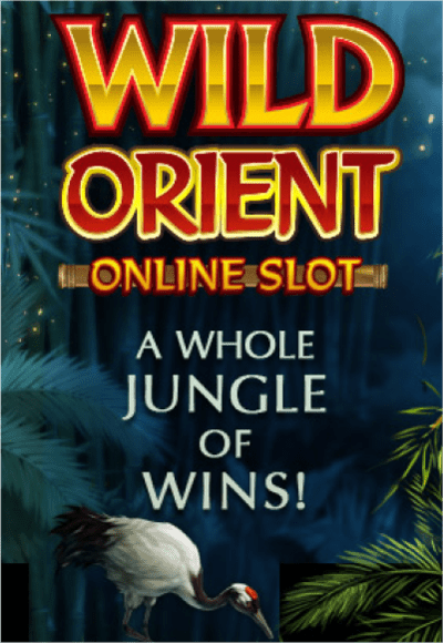 wt-mgp-slot cover image png