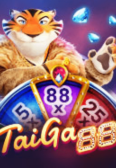 wt-next-spin cover image png