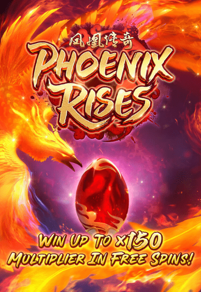 wt-pg-soft cover image png