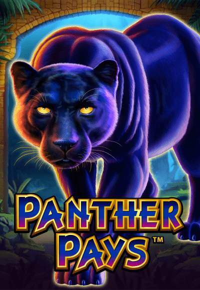 wt-play-tech cover image png