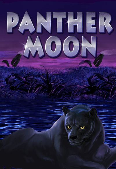 wt-play-tech cover image png