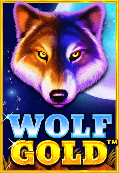 wt-ppa cover image png