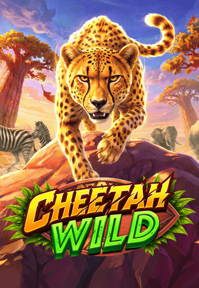 wt-ppa cover image png