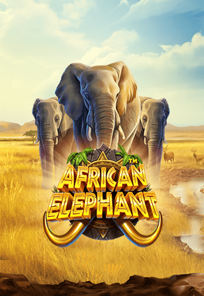 wt-pragmatic-play cover image png