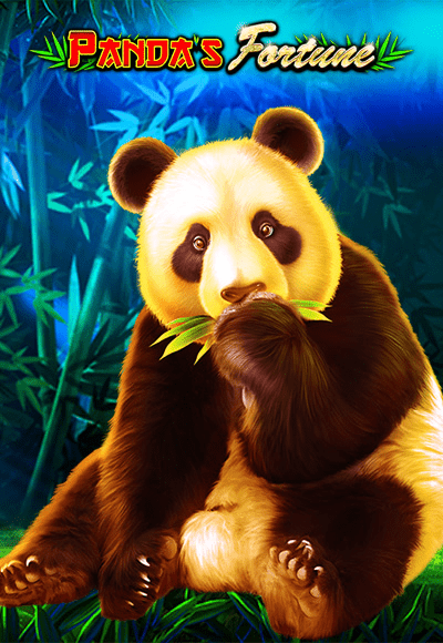 wt-pragmatic-play cover image png