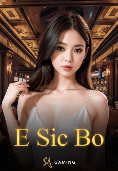 wt-sa-gaming cover image png