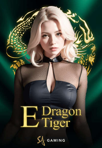 wt-sa-gaming cover image png