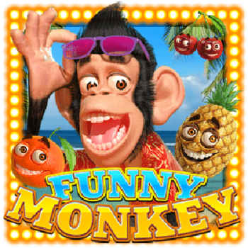 wt-wm-slot cover image png