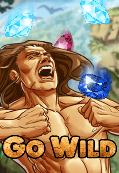 wt-wm-slot cover image png