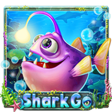 wt-wm-slot cover image png