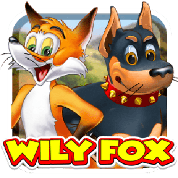 wt-wm-slot cover image png