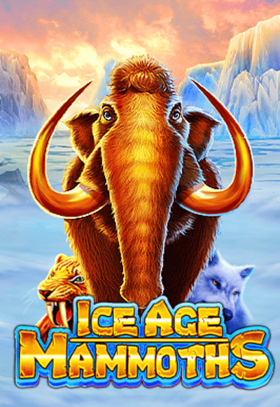 wt-wm-slot cover image png