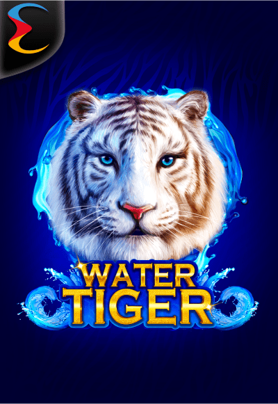 wtm-endorphina cover image png