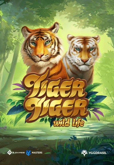 wtm-ygg-gaming cover image png