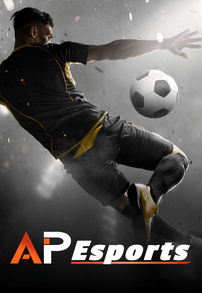 Logo wt-pinnacle vertical