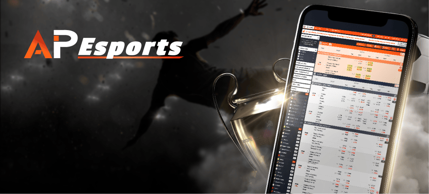 wt-pinnacle cover image png