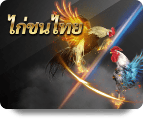 1Ufabet image of provider chicken-fight